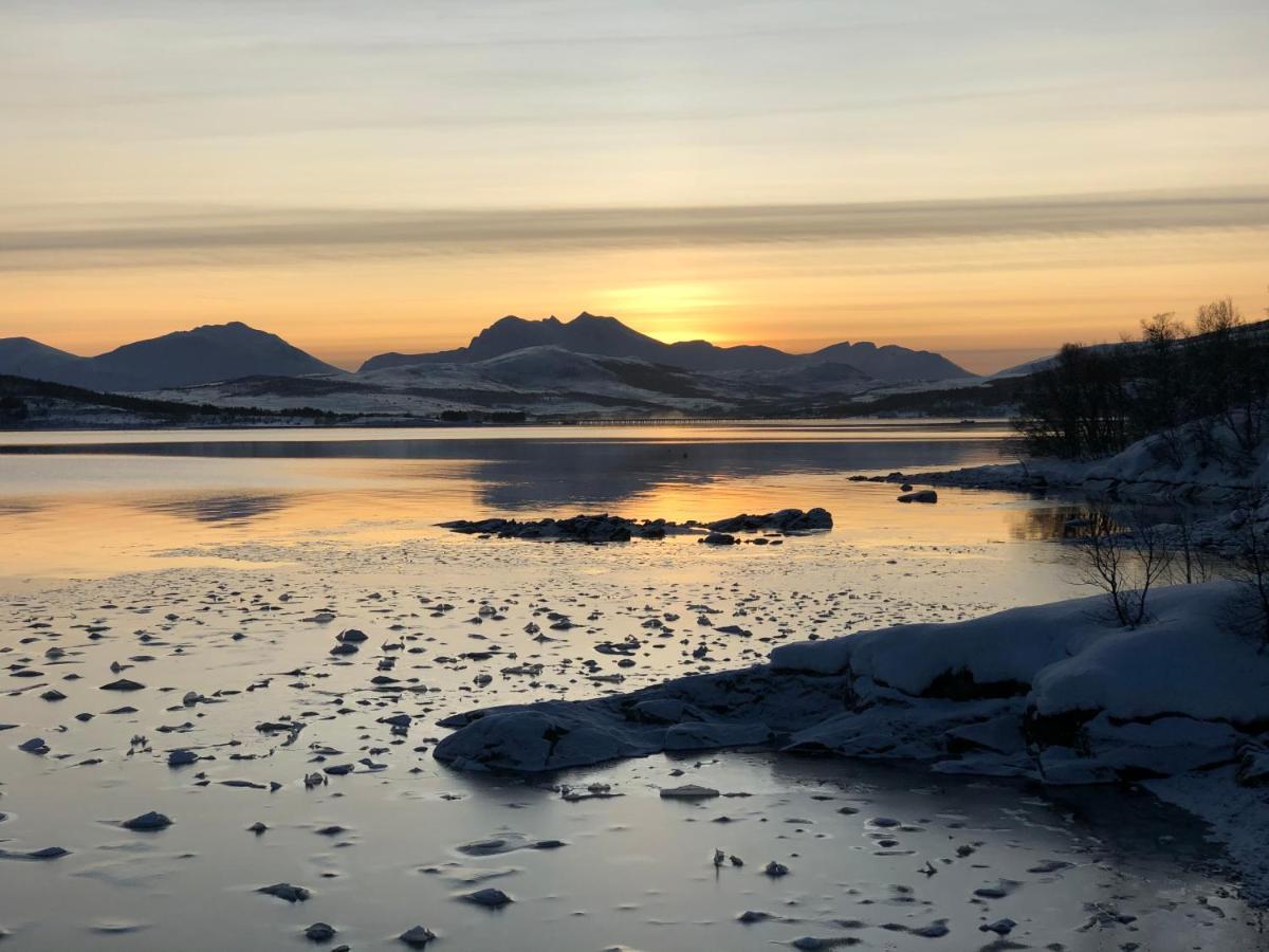 Melishome: Aurora Observatory Tromsø Eksteriør billede