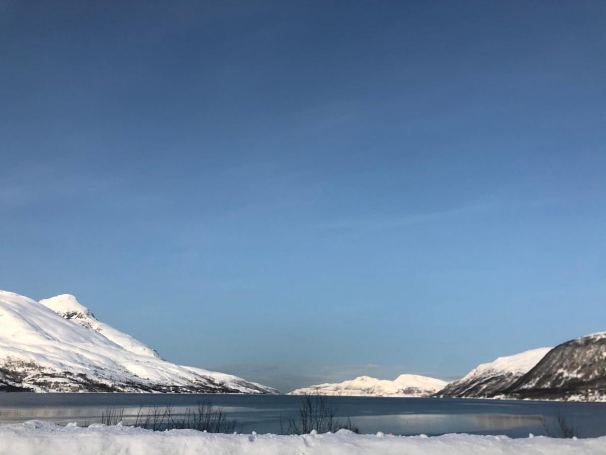 Melishome: Aurora Observatory Tromsø Eksteriør billede