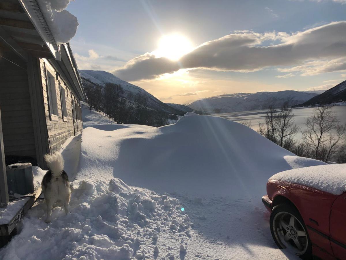 Melishome: Aurora Observatory Tromsø Eksteriør billede